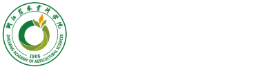 透明