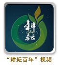 点击播放