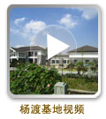 点击播放