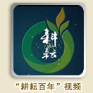 点击播放